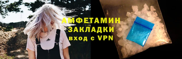 гидра Вязьма