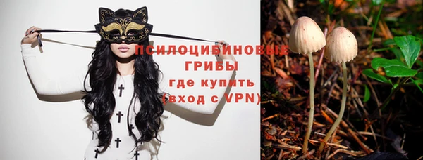 прущий лед Вяземский