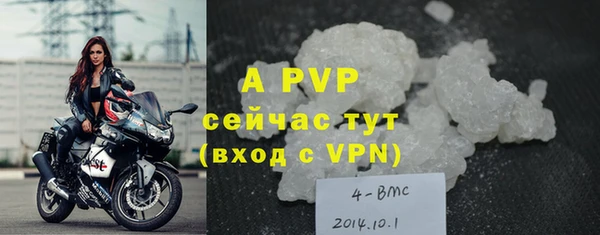 прущий лед Вяземский