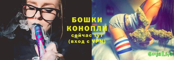 прущий лед Вяземский