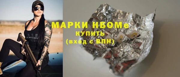 гидра Вязьма