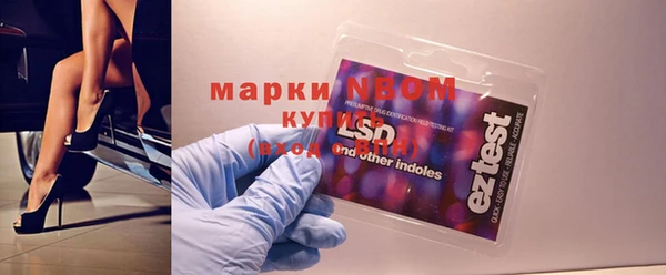 прущий лед Вяземский