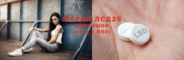 прущий лед Вяземский
