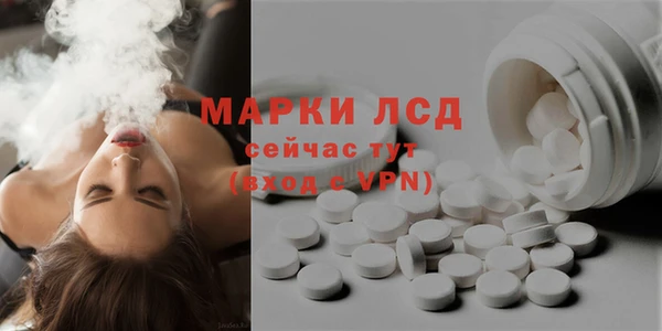 прущий лед Вяземский