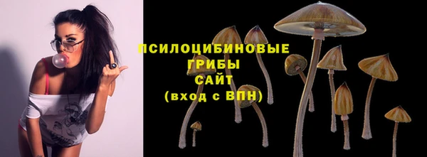 гидра Вязьма