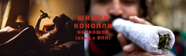 прущий лед Вяземский