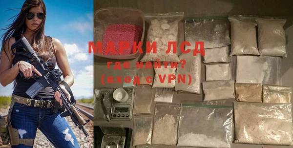 гидра Вязьма