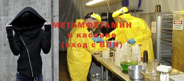 гидра Вязьма