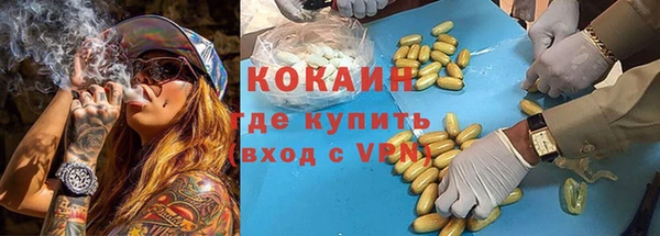 гидра Вязьма