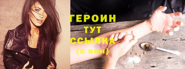 прущий лед Вяземский