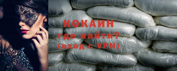 гидра Вязьма