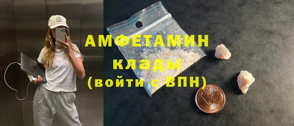 гидра Вязьма