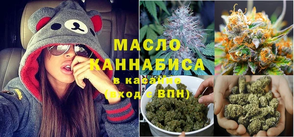 гидра Вязьма