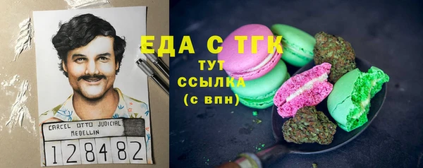 гидра Вязьма