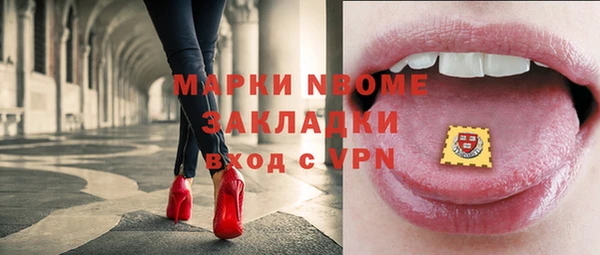 прущий лед Вяземский