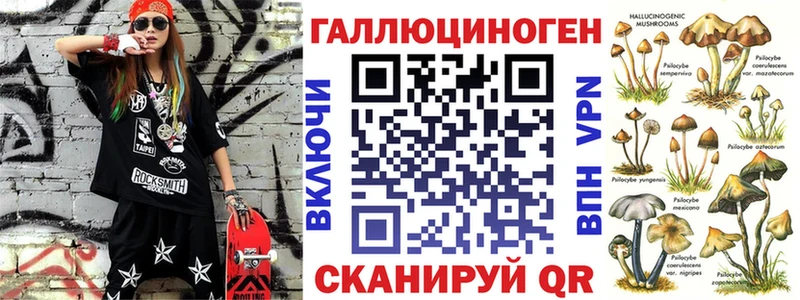 Купить  Красавино  Галлюциногенные грибы Psilocybine cubensis 